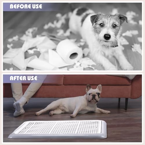 Mifoci Dog Training Pad Holder with Mesh Tray Non-Slip Leak Proof Puppy Potty Tray for Small Medium Large Dogs Pee Pad Holder Easy Clean Indoor Bathroom(19.69 x 14.17 Inch) - size: 19.69 x 14.17 Inch