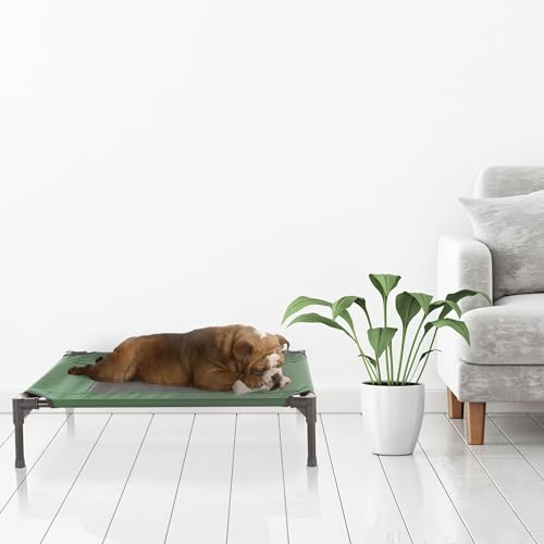 Elevated Dog Bed ? 30x24 Portable Bed for Pets with Non-Slip Feet Indoor/Outdoor Dog Cot or Puppy Bed for Pets up to 50lbs by Petmaker (Green) - color: Green, size: Medium