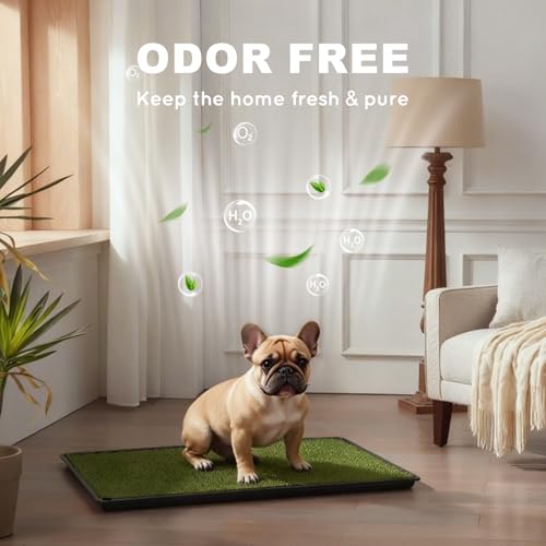HQ4US 4LEGS Dog Grass Pad with Tray Medium 31”×21”, Dog Litter Box with Odor Free Artificial Grass Pee Pads for Dogs Potty Tray with Hemmed Edge, Realistic for Indoor Balcony - size: Medium for Dog＜ 26" Length