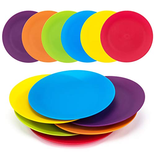 KOXIN-KARLU 10-inch Dinner Plates, Reusable Plastic Plates for Picnic, Set of 12 Multicolor