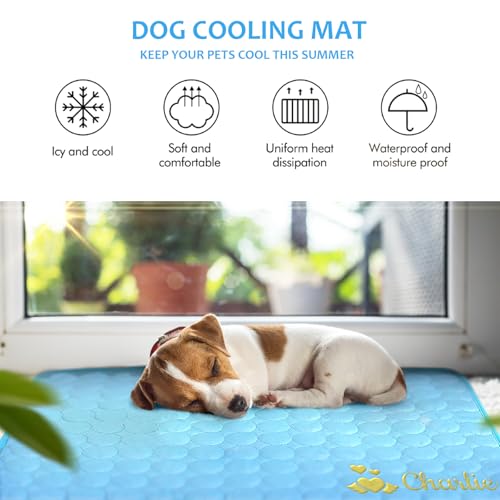 NIBESSER Personalized Dog Cooling Pad for Dog Cats Kennel Ice Silk Portable & Washable Summer Pet Self Custom Cooling Bed Blanket Crate Sleep Mat, Pink - color: Pink
