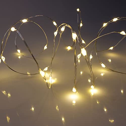 QBIS Warm White Fairy Lights Battery Operated With Timer Mode, 40 Micro LED for Mason Jars, 6.5ft Silver Wire Indoor Use - size: 1PK-40 Warm White