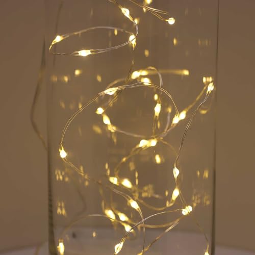QBIS Warm White Fairy Lights Battery Operated With Timer Mode, 40 Micro LED for Mason Jars, 6.5ft Silver Wire Indoor Use - size: 1PK-40 Warm White