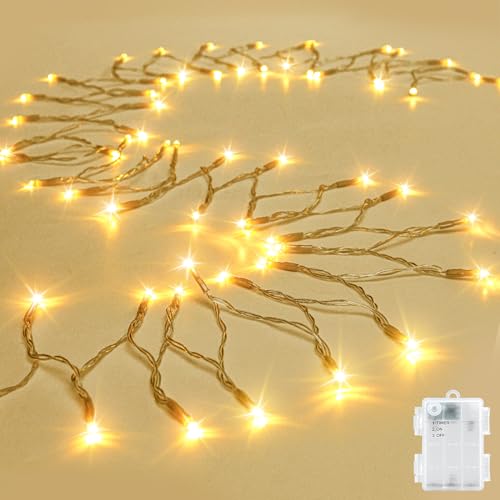 cshare String Lights Outdoor Waterproof 9.8ft 30 LED, Warm White Fairy Lights Battery Operated with Timer Clear Wire for Indoor & Outdoor Decorations Garland Party Garden - color: Warm White