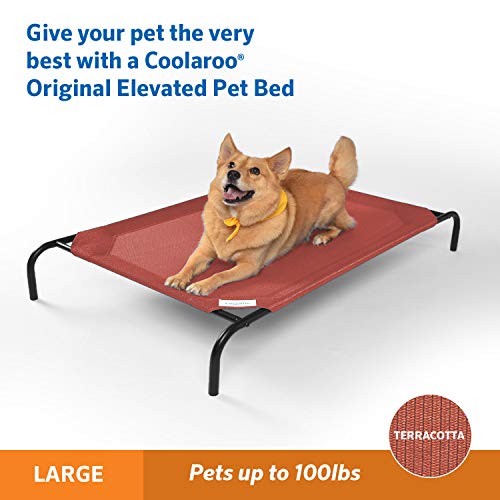 Coolaroo Original Elevated Dog Bed - Breathable Off-The-Ground Pet Bed with Cooling Fabric, Joint Relief & Moisture-Resistant Fabric, 100% Recyclable, Easy Clean, Terracotta, Large - color: Terracotta, style: Large Dog Bed