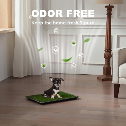 HQ4US 4LEGS Dog Grass Pad with Tray Small 23" x 16", Dog Puppy Litter Box with Odor Free Artificial Grass Pee Pads for Dogs Potty Tray with Hemmed Edge, Realistic for Indoor Balcony - size: Small(no Grate) for Dog＜ 19" Length