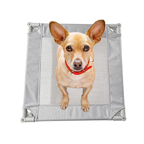 Pozico Elevated Pet Bed with Breathable Mesh for Small Cat and Dog, Raised Cooling Pet Cot for Puppy and Kitty, 18.9x18.9 inch (Gray Bed) - color: Gray Bed