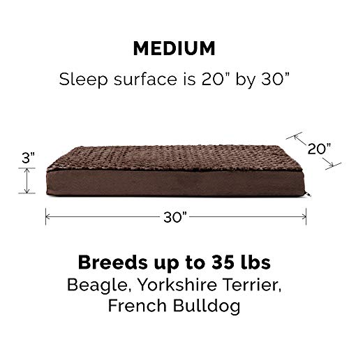 Furhaven Cooling Gel Dog Bed for Medium/Small Dogs w/ Removable Washable Cover, For Dogs Up to 35 lbs - Ultra Plush Faux Fur & Suede Mattress - Chocolate, Medium - color: Ultra Plush Curly Faux Fur (Chocolate), size: Medium