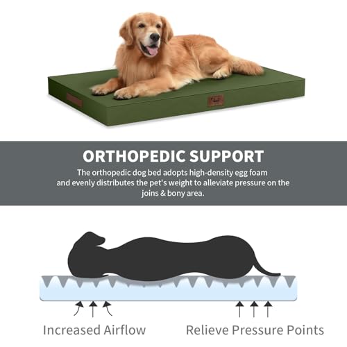 Outdoor Dog Bed for Small Dogs & Cats, Waterproof Dog Crate Mat Orthopedic Egg Crate Foam with Washable Removable Oxford Cover, Amy Green - color: Amy Green, size: 23.0"L x 17.0"W x 2.5"Th