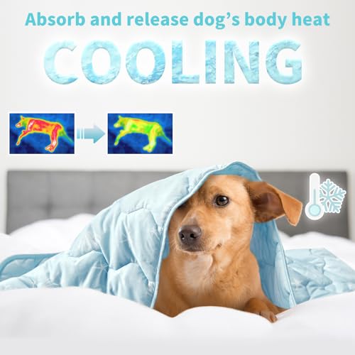 NWK Dog Cooling Blanket, Q-Max>0.345, Ice Silk Cool to Touch Material, Bed Cover, Furniture Protector Couch Sofa for Summer, Anxiety Relief-Machine Washable (Ocean Blue, 40'' X 60'') - color: Ocean Blue, size: 40*60