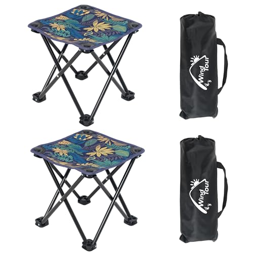 Wind Tour Portable Folding Camping Stool Outdoor Camping Lightweight Samll Chair for Fishing Hiking Gardening and Beach with Carry Bag (Medium Blue -2) - color: Medium Blue -2
