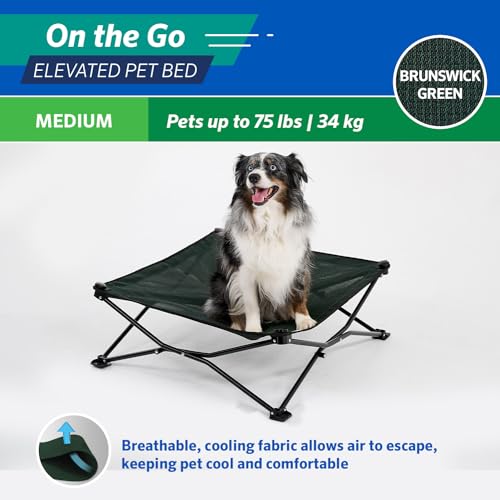 Coolaroo On-The-Go Elevated Dog Bed - Foldable Pop-Up Travel Dog Bed with Breathable, Moisture-Resistant Fabric, Carry Bag Included, Lightweight & Portable, Brunswick Green, Medium - color: Brunswick Green, style: Medium