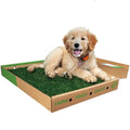 Gotta Go Grass - Real Dog Grass for Pet Training, Natural Grass Patch Potty, Refill Dog Grass Pad, Puppy Potty Training, Dog Accessories, Perfect Indoor/Outdoor Portable Potty, Pet Loo (16" x 24") - size: 1 Pack, Refill (no tray)