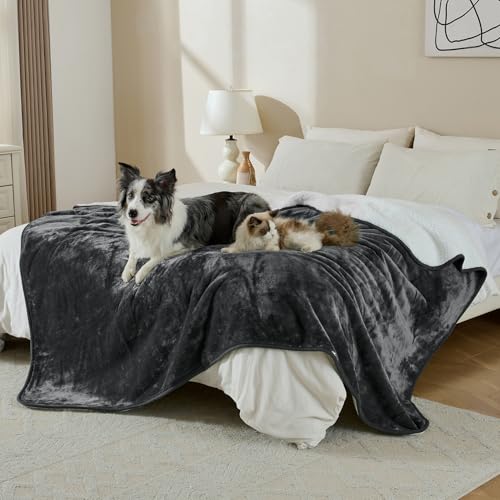 Waterproof Blanket for Bed Couch Sofa, Soft Liquid Pee Proof Pet Blanket for Dog Puppy Cat, Reversible Sherpa Fleece Furniture Protector (Dark Grey, 50x60 inches) - color: Dark Grey, size: 50x60 inches