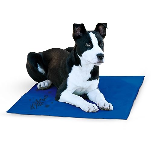 K&H Pet Products Coolin' Pet Pad Dog Mat, Portable Dog Cooling Mat for Travel or in Home, Perfect for Carriers, Crates, Outdoor Houses, Yards, Porches, Pet Beds & More - Large 36 X 20in Chill Blue - size: Large (20 x 36 in)