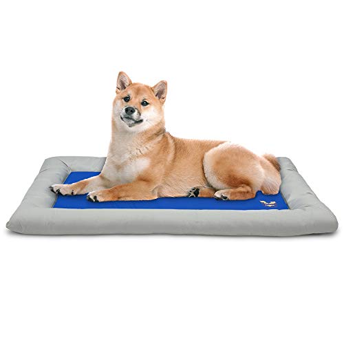 Arf Pets Dog Self Cooling Bed Pet Bed – Solid Gel Based Self Cooling Mat for Pets, Includes a Foam Based Bolster Bed for Extra Comfort - size: 22" x 35"