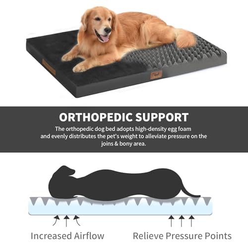 Comfort Dog Bed for Small Dogs & Cats, Waterproof Dog Crate Mat Orthopedic Egg Crate Foam with Washable Removable Cover, Black - color: Pure Black, size: 23.0"L x 17.0"W x 2.5"Th