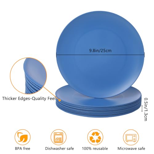 12-Pack 9.8 Inch Plastic Salad plates,Lightweight Unbreakable Dinner plate for Daily Use, Microwave & Dishwasher Safe Plates,Plastic Plates for Camping, Outdoor, food, Fruit (Blue) - color: Blue, size: 9.8 Inch