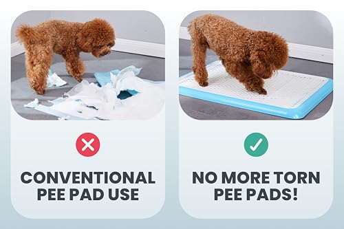 Pet Awesome Dog Potty Tray/Puppy Pee Pad Holder 25”x20” Indoor Wee Training for Small and Medium Dogs - color: Blue