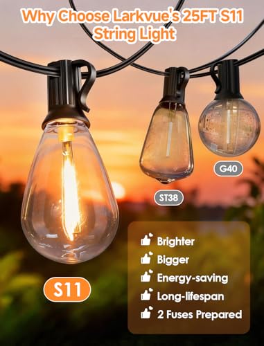 Larkvue 25FT LED Outdoor String Lights, 10+1 Edison S11 Dimmable Bulb Waterproof Patio Lights, Connectable Outside Hanging Strand for Backyard Garden - color: Black