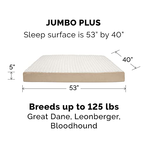 Furhaven Cooling Gel Dog Bed for Large Dogs w/ Removable Washable Cover, For Dogs Up to 125 lbs - Ultra Plush Faux Fur & Suede Mattress - Cream, Jumbo Plus/XXL - color: Ultra Plush Curly Faux Fur (Cream), size: Jumbo Plus