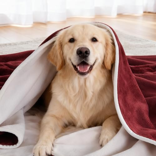 LOOBANI Waterproof Dog Blanket for Couch: Reversible Flannel Bed Blanket for Medium Large Dogs Liquid Proof, Soft Throw Blanket Couch Cover Protector for Sofa, Crate, Travel, Picnic, 50" x 60", Red - color: Red, size: 50" x 60"