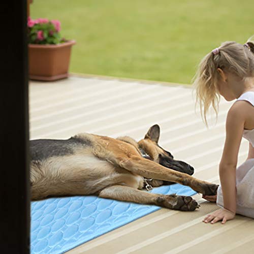 Washable Dog Cooling Mat Ice Silk Cooling Mat for Dogs Pet Self Cooling Pad Blanket Dog Cool Pad for Indoor & Outdoor Car Seats (Blue, 16x12 in)