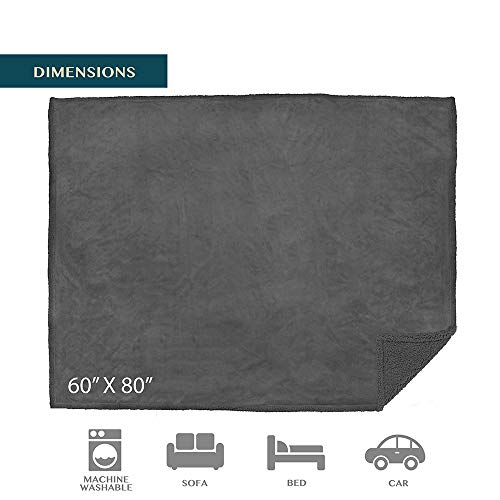 PAVILIA Waterproof Blanket Throw Dark Grey Queen,Waterproof Pet Blanket for Dog Couch Protection,Leak Proof Sherpa Fleece Blanket for Bed Sofa,Liquid Resistant Large Plush Throw 90x90,Charcoal - color: Charcoal, size: 90x90 Inches