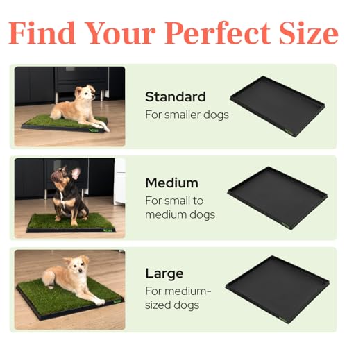 DoggieLawn Non-Spill Dog Potty Training Tray - Leak-Proof HDPE Plastic Grass Pad Holder for Apartments & Urban Homes-Reusable & Washable-Perfect for Indoor Dogs & Puppies-Large (26” x 25.5” x 1.25”) - size: Large (external 26 x 25.5 x 1.25 inches)