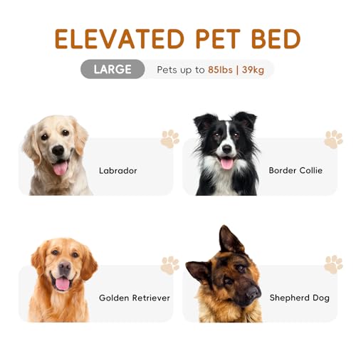 STARLATTA Elevated Cooling Dog Bed for Large Dogs,Waterproof Outdoor Pet Cot with Washable Breathable Mesh,Non-Slip Feet,Comfortable Dry Raised Dog Bed,50.8 x 31 x 8 Inches,Blue