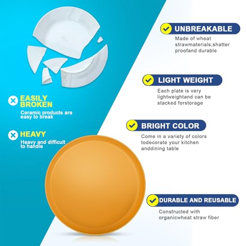 Unbreakable Dinner Plates Set of 8 (9.5-Inch) for Camping & RV Use - 100% Microwave Safe PP Plastic - Lightweight, BPA-Free, Dishwasher Safe - Perfect for Outdoor, Patio, Everyday Use, Warm Series - color: Warm Series, size: 9.5 in