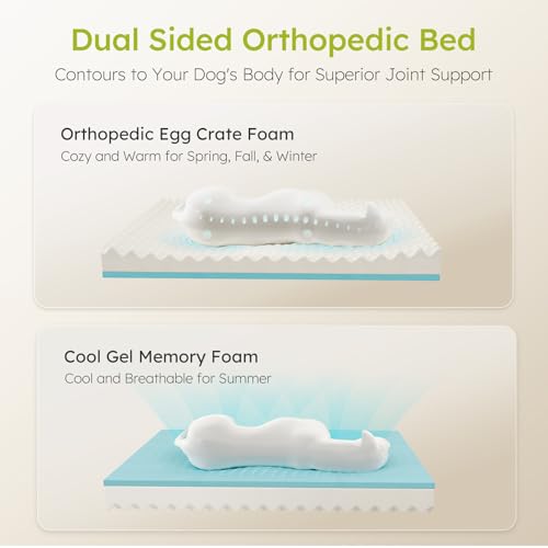 CWAWZ XXL Dog Bed for Extra Large Dogs, Giant Orthopedic Dog Bed with Cooling Gel Memory Foam, Waterproof Pet Bed with Removable Washable Cover, 53" Pet Sofa bed Dutch Velvet with Bone Toy, Light Gray - color: Light Grey, size: XX-Large(53"L x 42"W x 9.5"