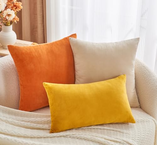 Throw Pillow Covers Burnt Orange Set of 2 18x18 Inch Fall Pillow Covers, Soft Velvet Farmhouse Neutral Decorative Pillowcases for Couch Sofa Bed, Home Boho Decor, Modern Cushion Covers - color: Burnt Orange1, size: 18" x 18" (Pack of 2)
