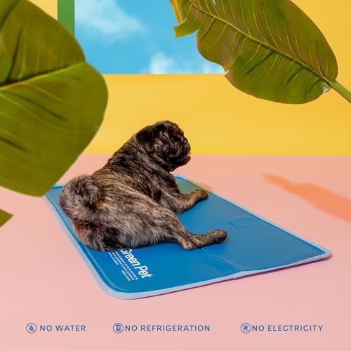 The Green Pet Shop Cool Pet Pad - Medium, Blue - Self-Cooling, Pressure Activated Mat for Dogs & Cats from 21-45 lbs - Non-Toxic Gel, No Water Needed - color: Blue, size: Medium