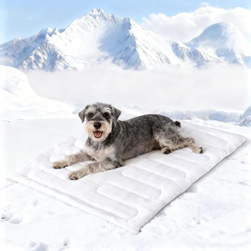 Dog Cooling Mat, Reversible Self-Cooling Mat for pet, Cool Fabric Top & Velvet Back, Portable Ice Cool Fabric Dog Bed, Easy Washable Summer Pets Cool Pad for Indoor Outdoor (M(35.8″*22.8″)) - size: M(35.8″*22.8″)