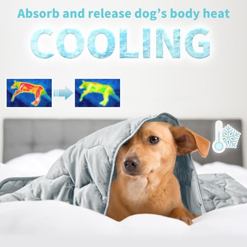 NWK Dog Cooling Blanket, Q-Max>0.345, Ice Silk Cool to Touch Material, Bed Cover, Furniture Protector Couch Sofa for Summer, Anxiety Relief-Machine Washable (Misty Gray,60'' X 80'') - color: Misty Gray, size: 60*80