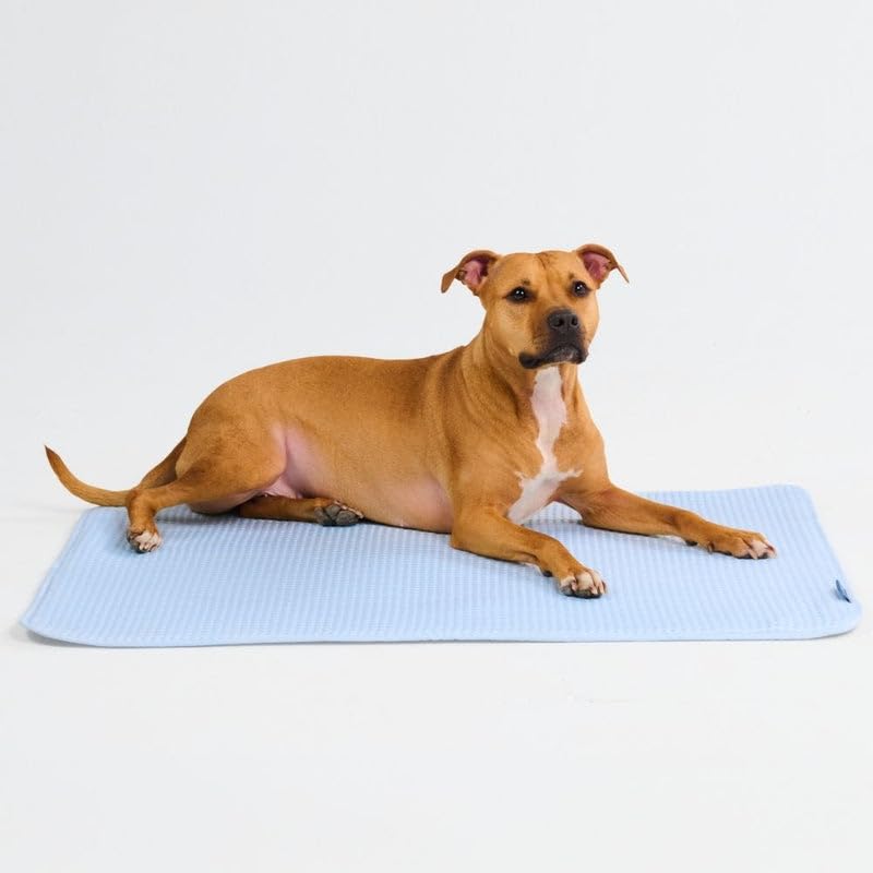 Spark Paws Cooling Mat for Dogs - Self Cooling Dog Mat & Pet Cooling Pad for Large, Medium & Small Dogs - Non-Toxic, Non-Gel Washable Cooling Bed - Waffle Blue - Size L - color: Waffle Blue, size: Large