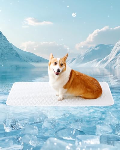 Dog Cooling Mat - Instant Cooling Pet Bed for Dogs & Cats, 6-12°F Drop, Non-Toxic & Machine Washable, Anti-Slip Bottom, Cool Mat for Indoor & Travel Use Light Gray 36" x 24" - color: Light Gray, size: L (36" x 24")