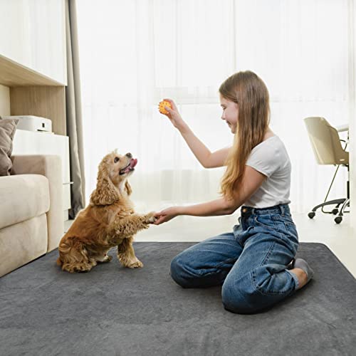 LOOBANI Washable Pee Pad for Dogs, 2 Packs Non-Slip Puppy Training Pads, Fast Absorbent Pet Whelping Pads, Puppy Playpen Mat for Incontinence, Housebreak, Crate, 41x41in, Gray - size: 41"*41"(Pack of 2) Gray