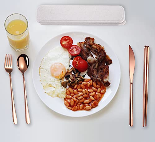 AARAINBOW 6 Pieces 18/8 Stainless Steel Flatware Set Portable Reusable Cutlery Set Travel Utensils Set Including Chopsticks Knife Fork Spoon Straws Cleaning Brush Dishwasher Safe (Rose Gold) - color: Rose Gold