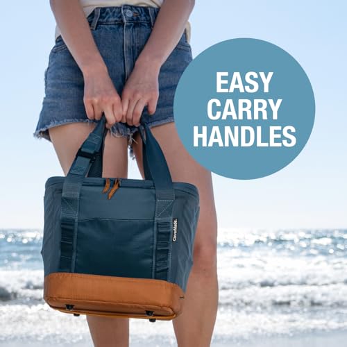 CleverMade Pacifica Collapsible Cooler Bag – Small Portable Cooler Bag for Travel, Foldable Insulated Cooler for Beach, Picnic & Road Trips, Holds Up to 18 Cans, Leakproof Soft Carry Cooler - Gray - color: Charcoal Gray, size: Small