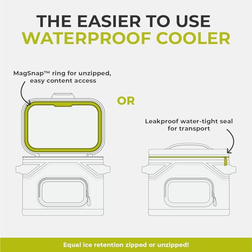 CORE Magnetic Leak Proof Soft Cooler with Waterproof Zipper | Insulated Bag Portable Ice Chest Box | Best Soft Cooler for Food & Beverages for Tailgating, Car Camping, Travel, and Family Beach Picnics - color: Charcoal, size: 12 Can