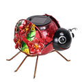 MUMTOP Solar Lantern, Waterproof LED Solar Lights Outdoor Ladybug Decorative Tabletop Lanterns for Patio Garden Table Decor - style: Ladybug