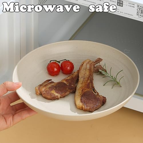 Wheat Straw Plates Unbreakable Dinner Plates Set of 6, Reusable Lightweight Plastic Plate for Camping Kitchen, Microwave and Dishwasher Safe (Beige) - color: 6 Beige