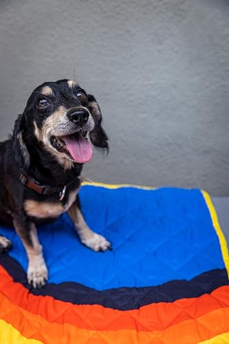 Waterproof Blanket, 29" x 34” - Seat Cover for Dogs and Pets. Ideal for Small and Medium Pet Crate Blankets, Settle mat, Diaper Changing and Playmat for Babies - color: Blue and Yellow