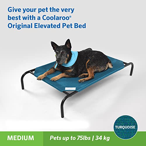 Gale Pacific Coolaroo The Original Cooling Elevated Pet Bed, Medium, Turquoise - color: Turquoise, style: Medium Dog Bed