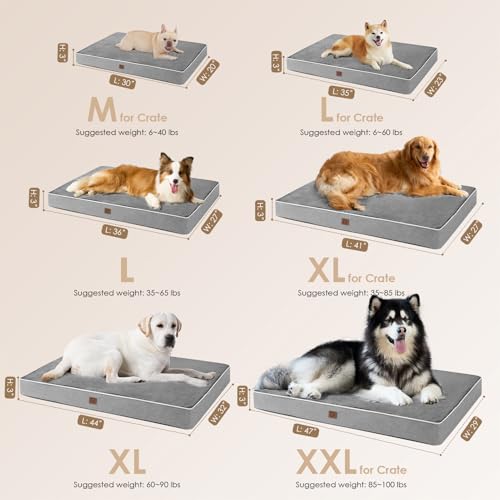 EHEYCIGA Orthopedic Dog Bed Waterproof 30"x20", Memory Foam Pet Bed for Medium Dogs, Washable Pet Mat with Removable Cover, Grey - color: Grey, size: 30.0"L x 20.0"W x 3.0"Th