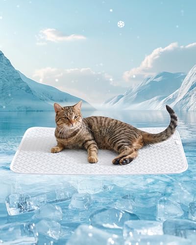 Dog Cooling Mat - Instant Cooling Pet Bed for Dogs & Cats, 6-12°F Drop, Non-Toxic & Machine Washable, Anti-Slip Bottom, Cool Mat for Indoor & Travel Use Light Gray 24" x 18" - color: Light Gray, size: S (24" x 18")