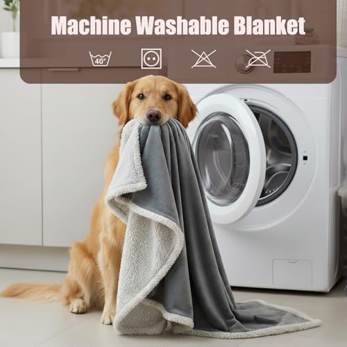 Makigued Waterproof Dog Blanket for Couch & Bed, Reversible Sherpa Fleece Pet Throw with Quiet TPU Barrier, Machine Washable Furniture Protector for Large Dogs & Cats, Twin Size 60x80 Inch, Gray - color: Gery, size: Twin(60"*80")