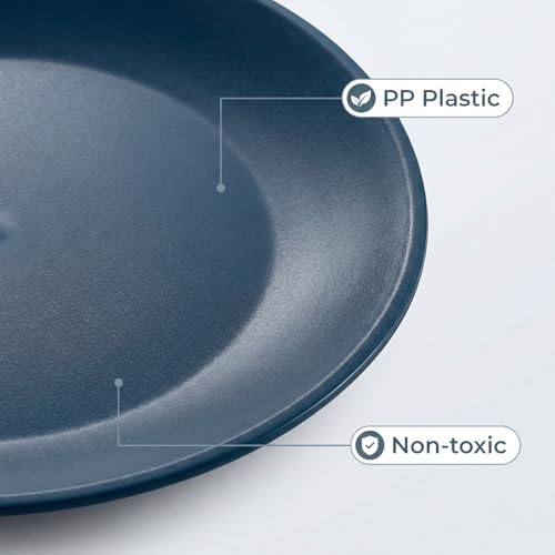 AOYITE Plastic Plates Reusable 10 inch, Unbreakable Dinner Plates set of 12, BPA Free Microwave & Dishwasher Safe Party Plate for Any Occasion, BBQ, Travel, Events (Coastal) - color: Cool Blue Gradient